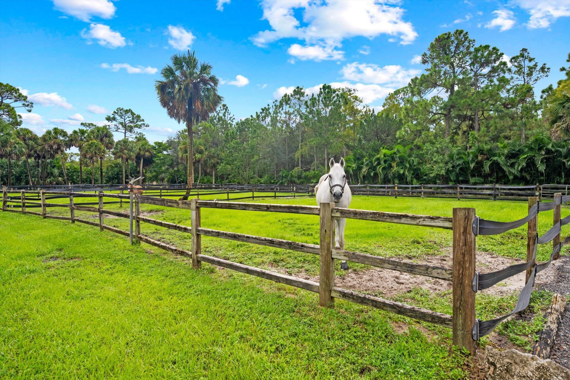 2915 Doe Trail, The Acreage, FL 33470 Photo