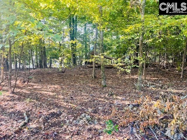 0 Lands End Lane Photo 6