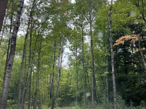 44890 Potato River Rd, Saxon, WI 54546