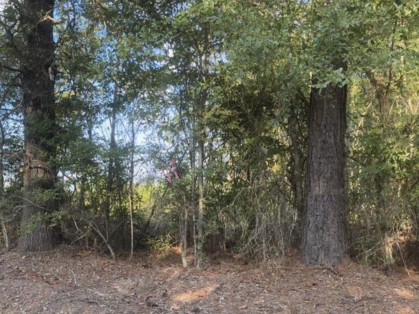 Attala Road 4041 Road, Kosciusko, MS 39090