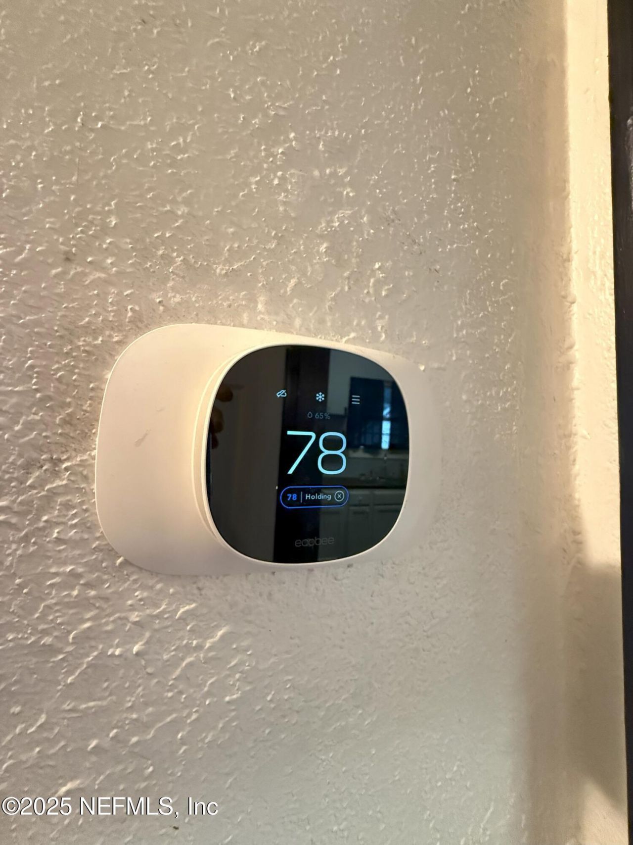 3546 Oleander Street, Jacksonville, FL 32254 Photo