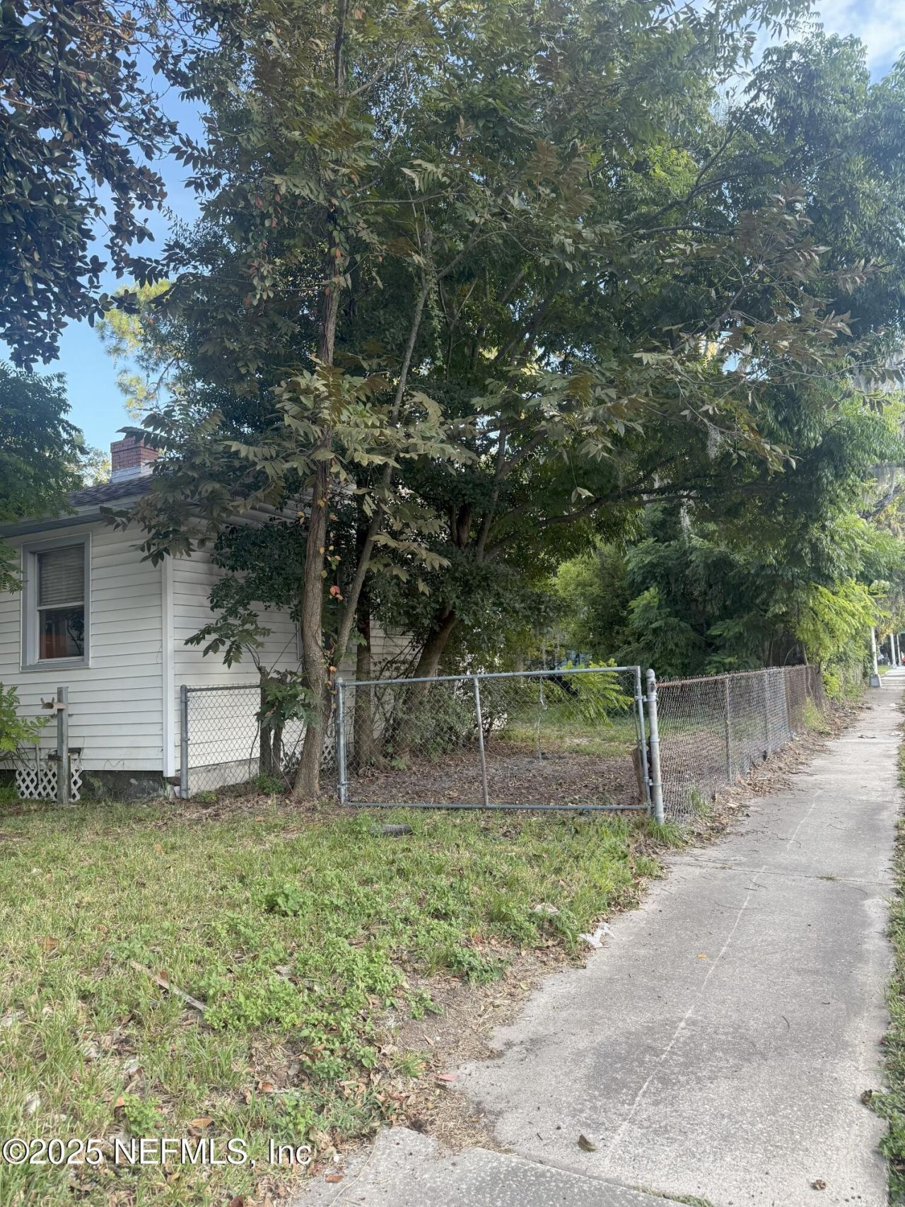 3546 Oleander Street, Jacksonville, FL 32254 Photo