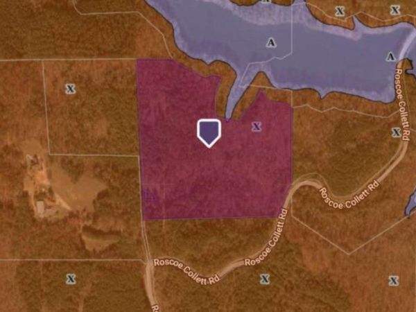 0 Roscoe Collett Road, Dawsonville, GA 30534