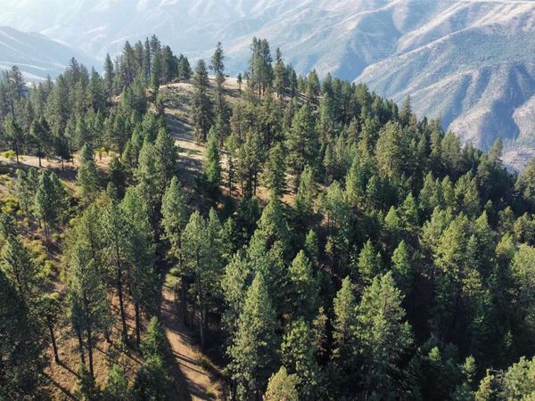 TBD Pardee Road, Kamiah, ID 83536