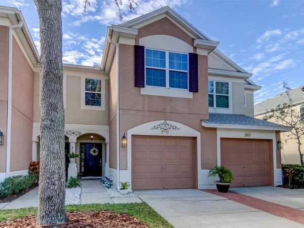 26642 CASTLEVIEW WAY, WESLEY CHAPEL, FL 33544