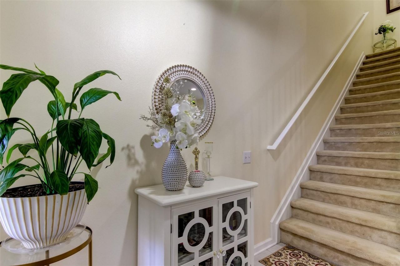 26642 Castleview Way, Wesley Chapel, FL 33544 Photo
