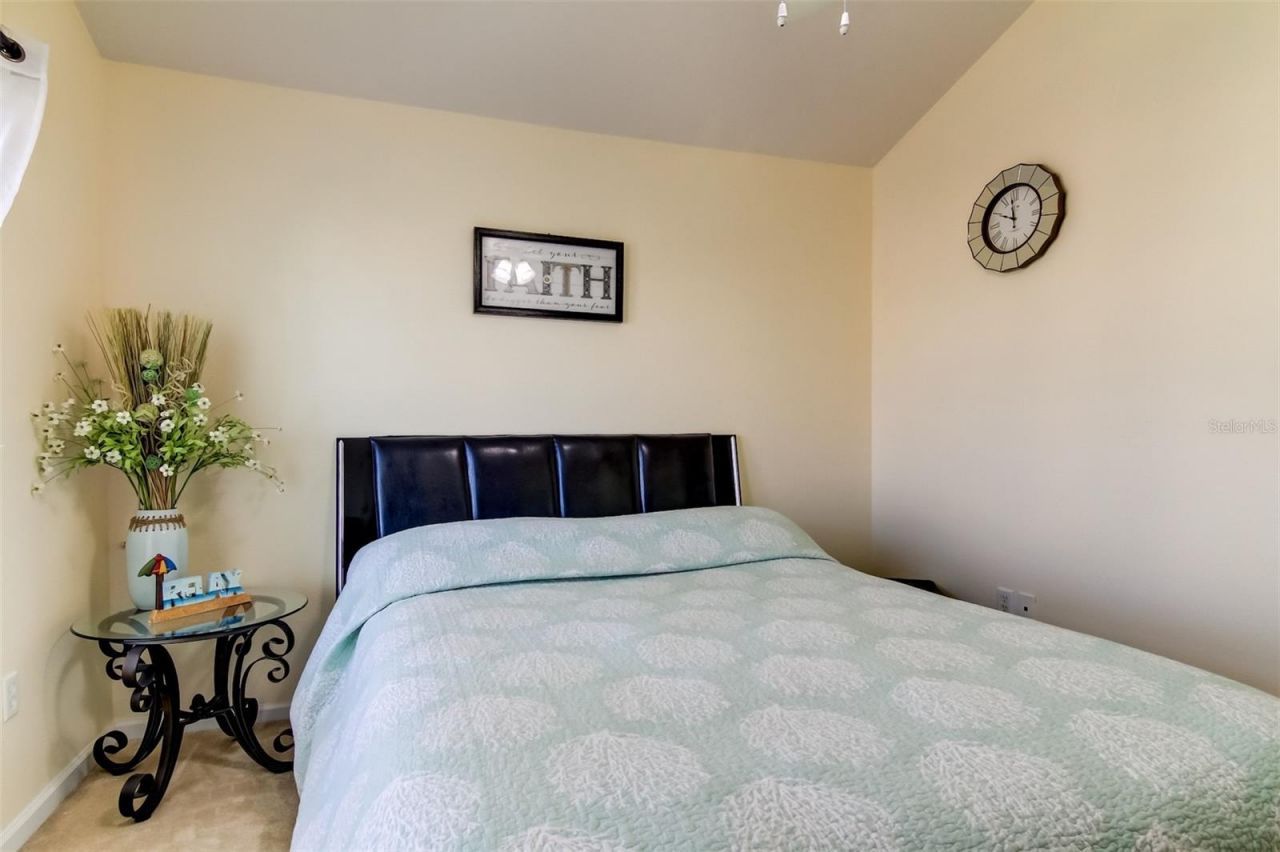 26642 Castleview Way, Wesley Chapel, FL 33544 Photo