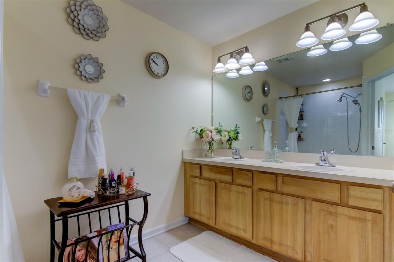26642 Castleview Way, Wesley Chapel, FL 33544 Photo