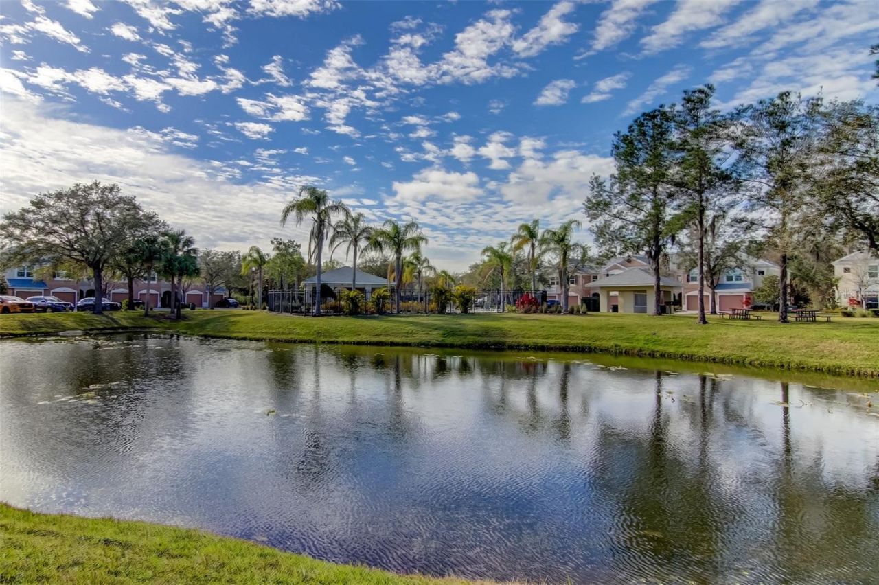26642 Castleview Way, Wesley Chapel, FL 33544 Photo