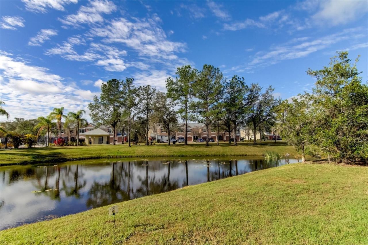 26642 Castleview Way, Wesley Chapel, FL 33544 Photo