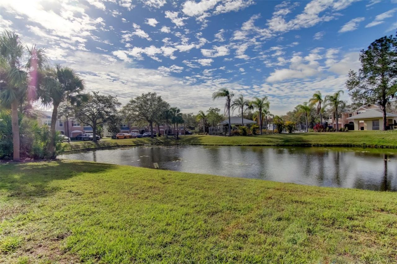 26642 Castleview Way, Wesley Chapel, FL 33544 Photo