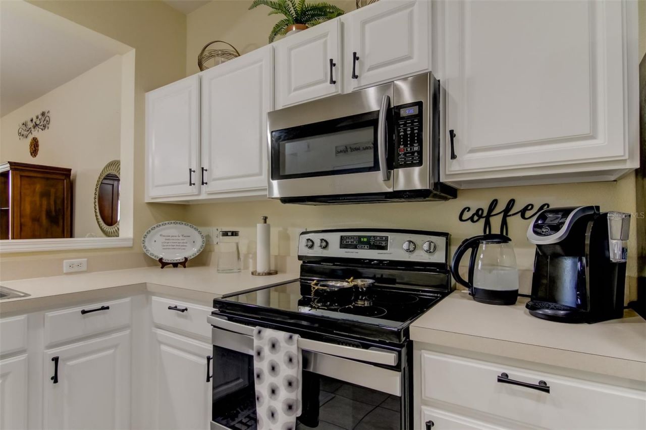 26642 Castleview Way, Wesley Chapel, FL 33544 Photo