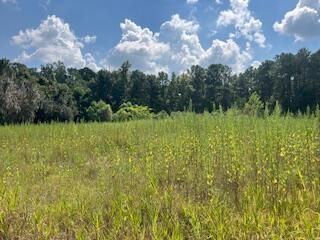 1 Wolffs Lair Road Photo 4