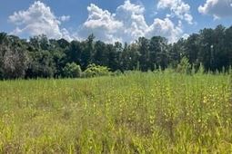 1 Wolffs Lair Road photo 4