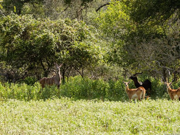 8841 Fm 775, La Vernia, TX 78121