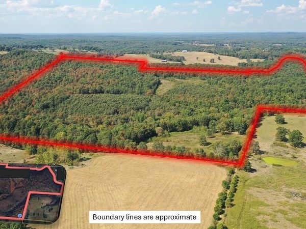 000 County Road 330, Gainesville, MO 65655