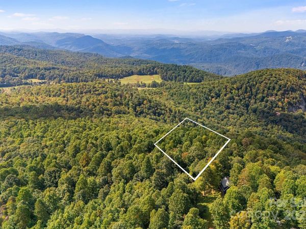 000 Fawns Rest Street, Black Mountain, NC 28711