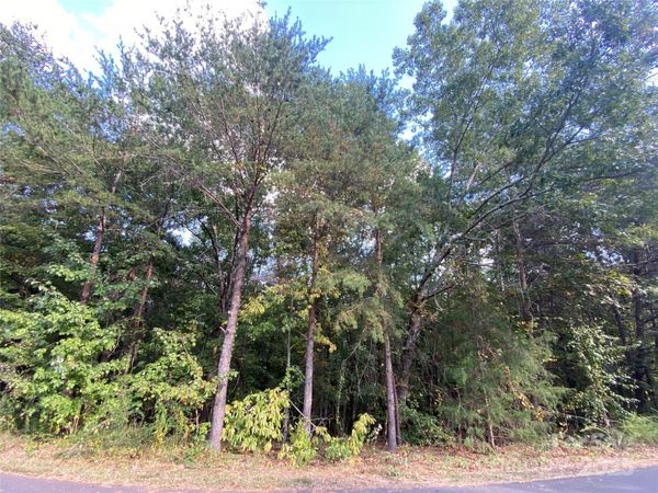 1301 Shadowfax Wynd None, Hickory, NC 28602