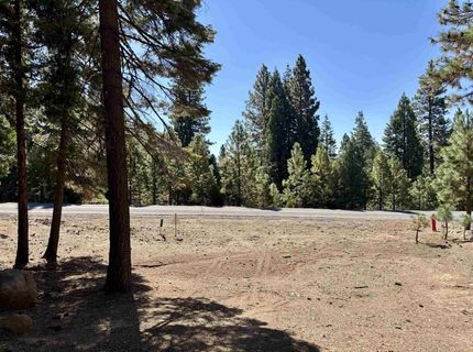 315 Top Of The West Drive, Lake Almanor, CA 96020 Photo