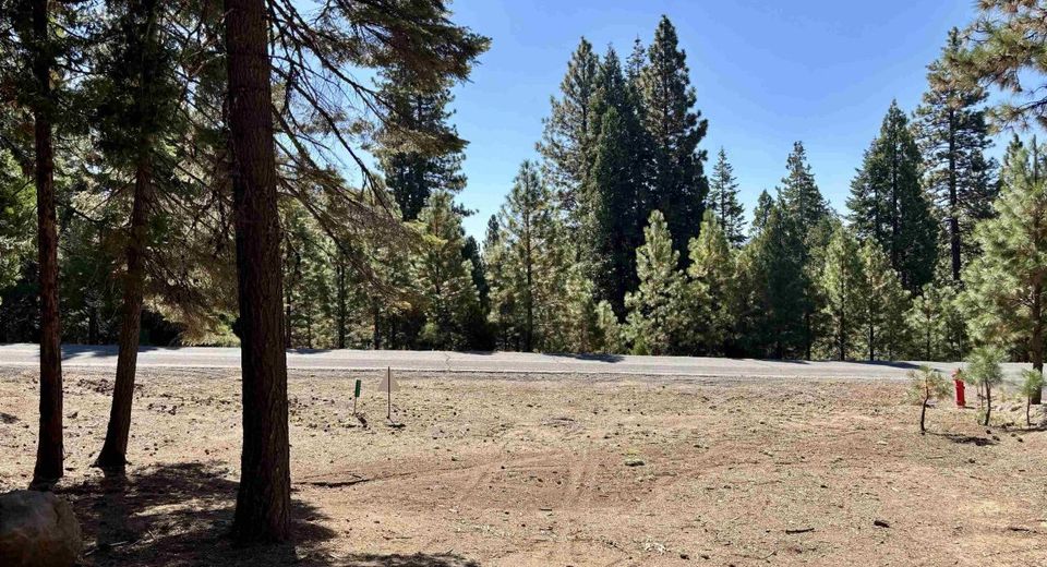 315 Top Of The West Drive, Lake Almanor, CA 96020 Photo