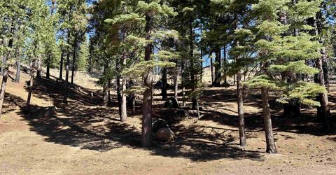 315 Top Of The West Drive, Lake Almanor, CA 96020 Photo