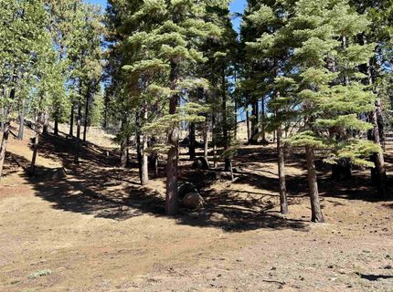 315 Top Of The West Drive, Lake Almanor, CA 96020 Photo