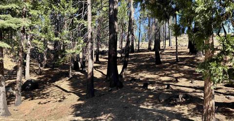 315 Top Of The West Drive, Lake Almanor, CA 96020 Photo