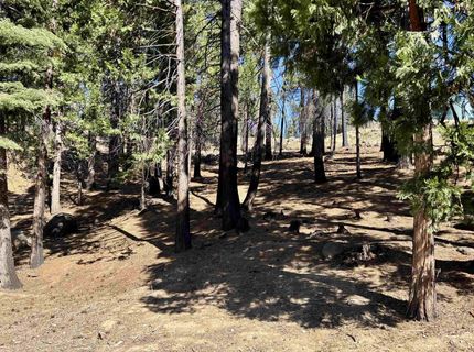 315 Top Of The West Drive, Lake Almanor, CA 96020 Photo