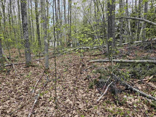 Lot 124 Paulsen Circle, Haverhill, NH 03765