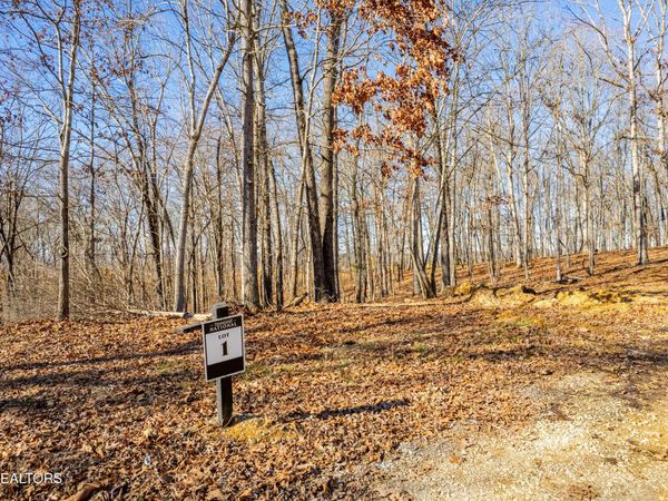 2501 Old Dogwood Tr, Loudon, TN 37774