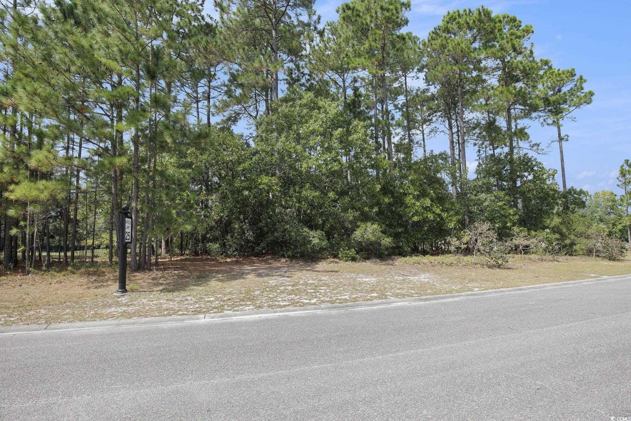 4036 Girvan Dr. Photo 6