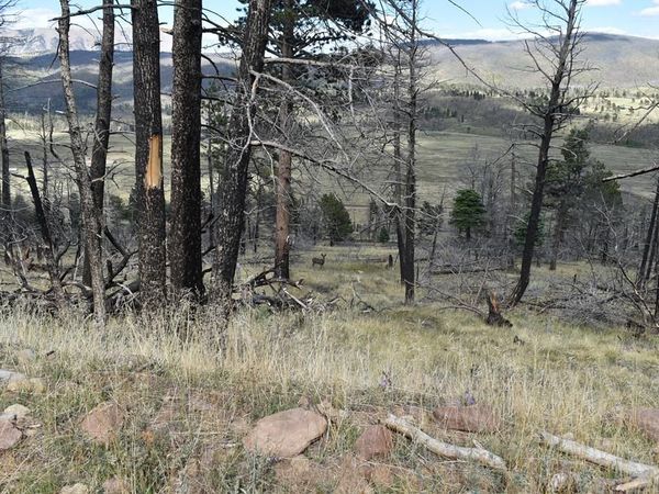 Soubry Pl, Fort Garland, CO 81133