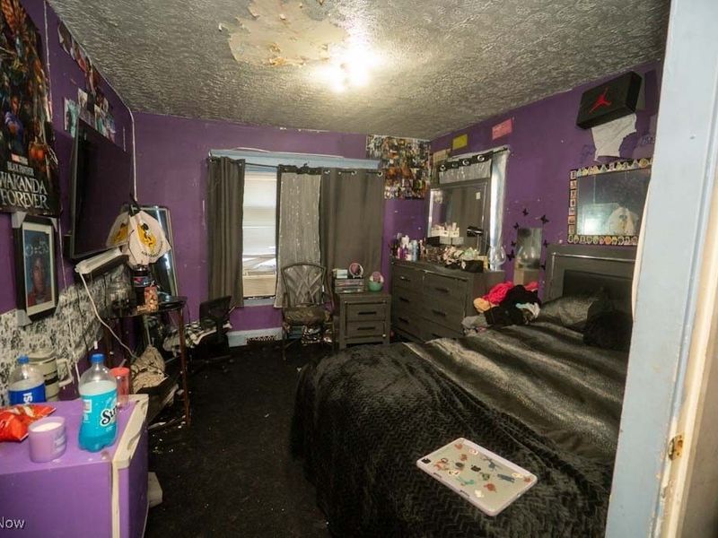 550 E 107th Street, Cleveland, OH 44108 Photo 15