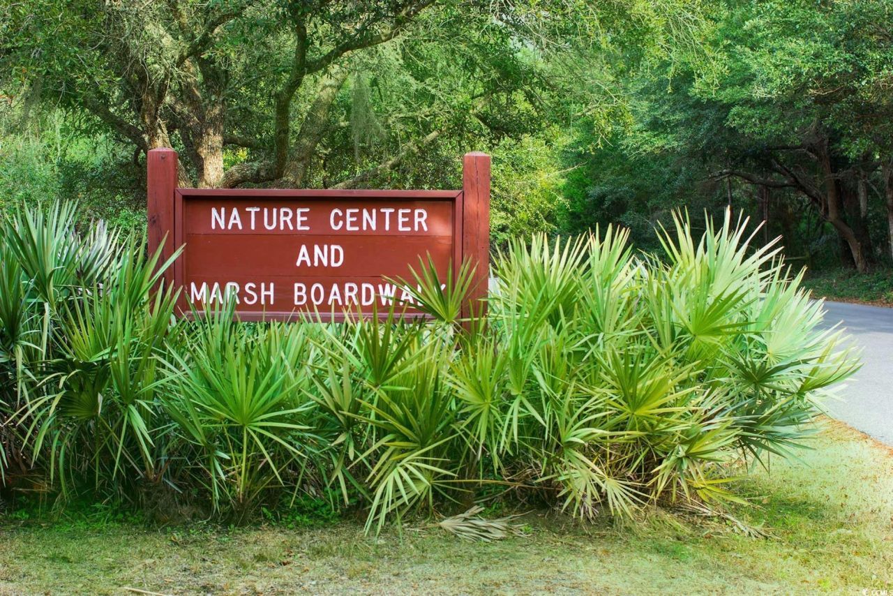 115 Veranda Way Photo 34