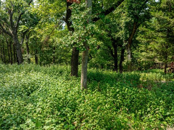 Pheasant Circle Circle, Cleora, OK 74331