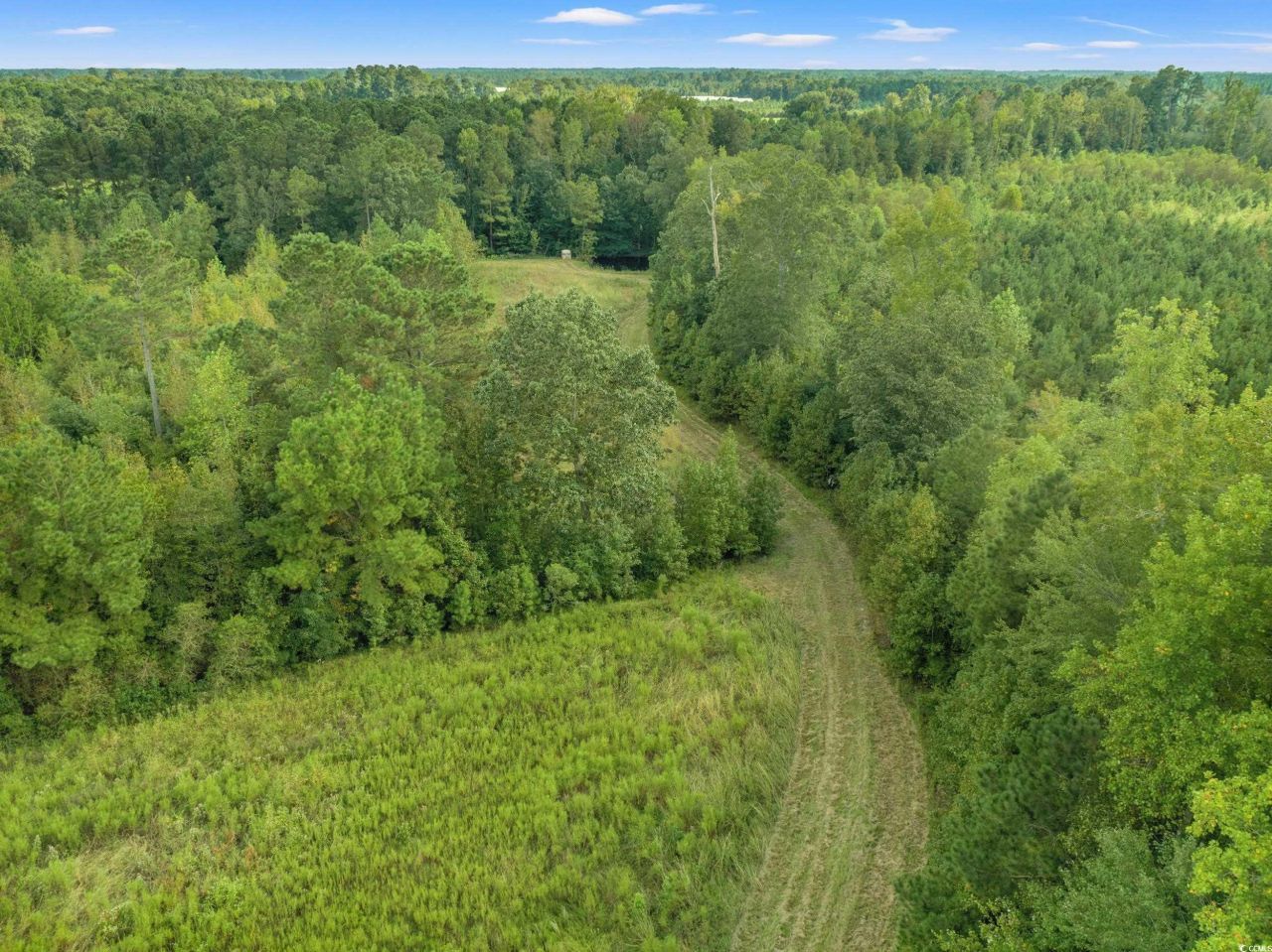 1217 Poplar Creek Rd Photo 31