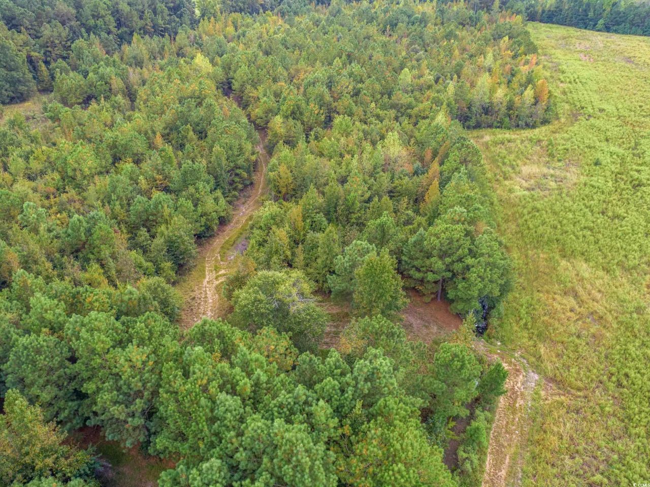 1217 Poplar Creek Rd Photo 32