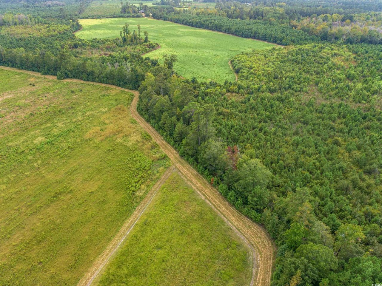 1217 Poplar Creek Rd Photo 35