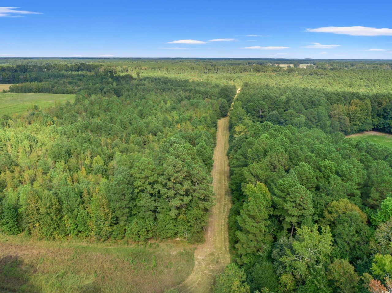 1217 Poplar Creek Rd Photo 27