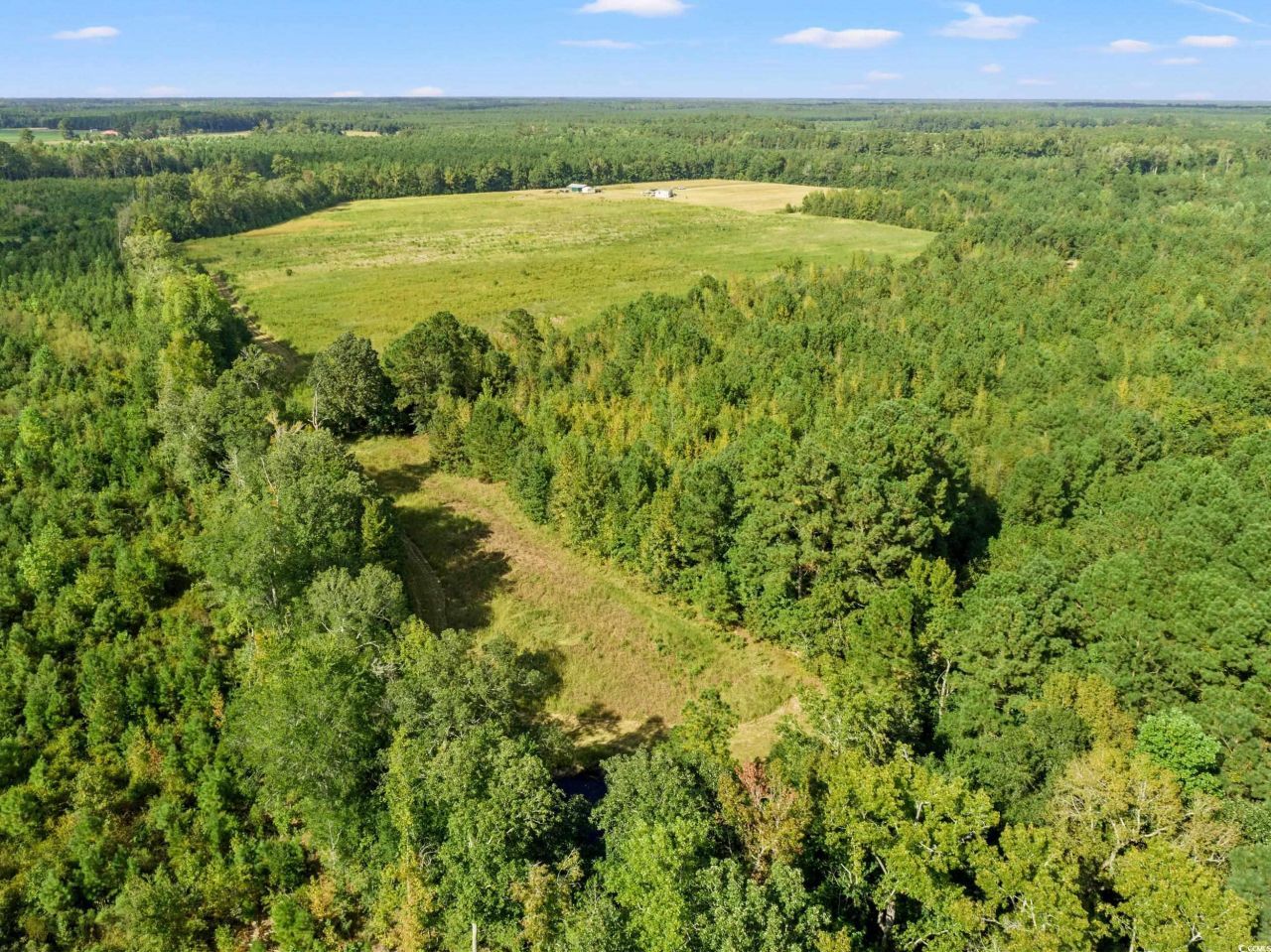 1217 Poplar Creek Rd Photo 29