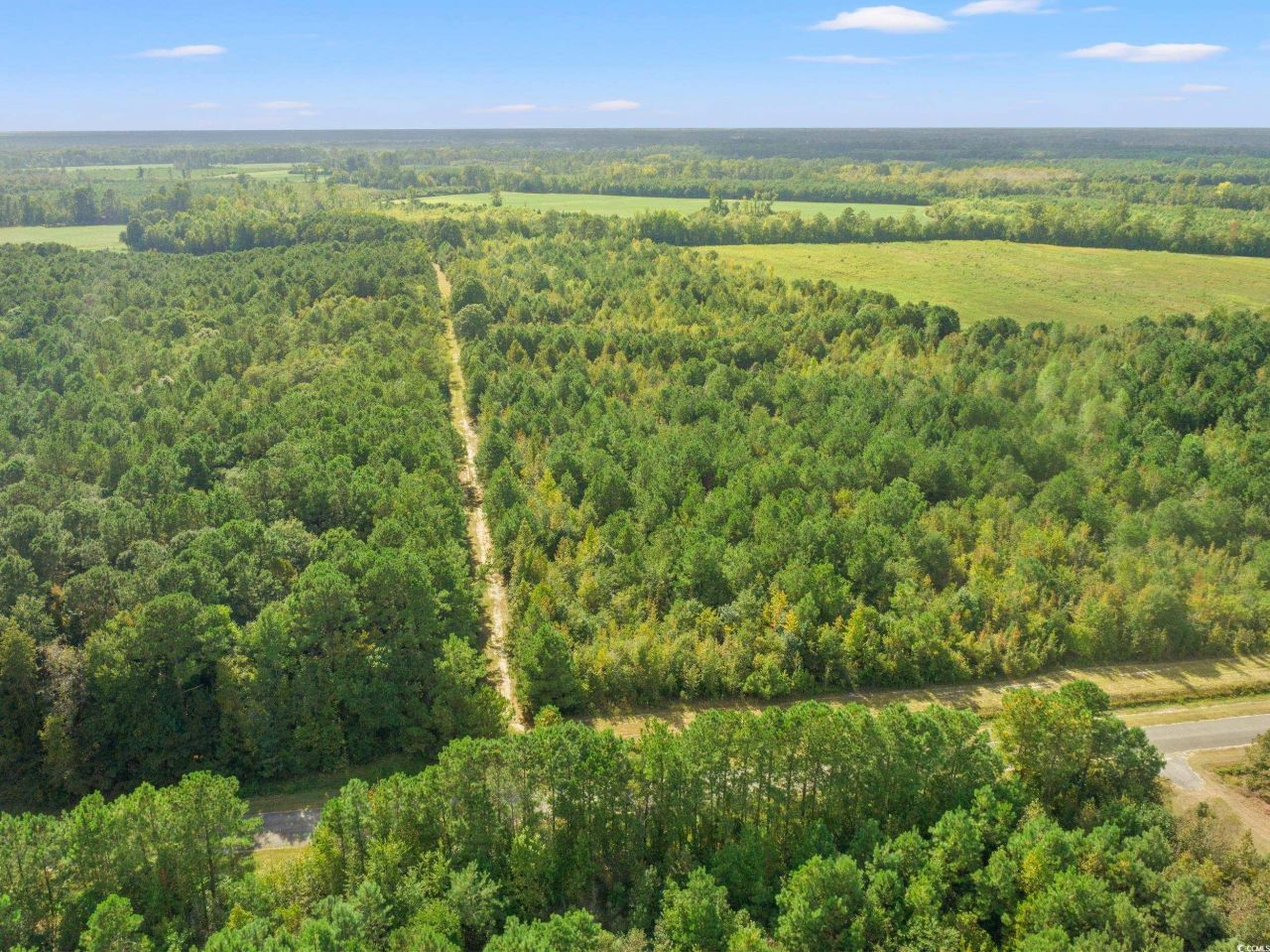 1217 Poplar Creek Rd Photo 30