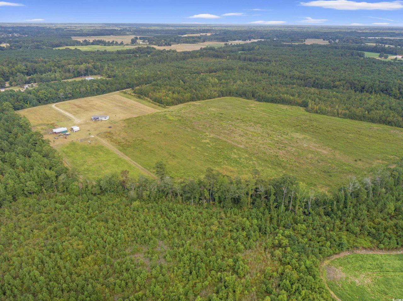 1217 Poplar Creek Rd Photo 38