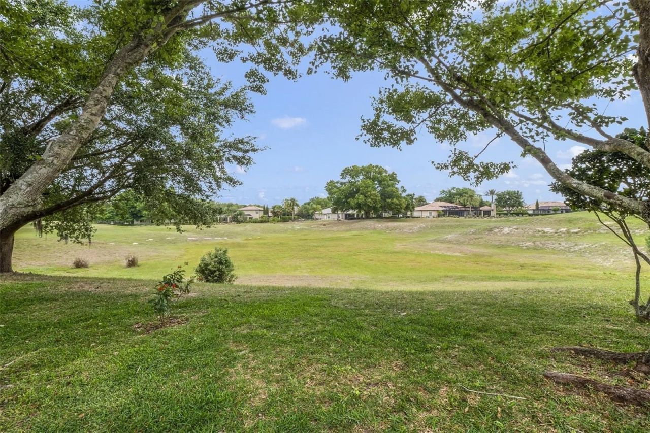 25551 Hawks Run Lane, Sorrento, FL 32776 Photo