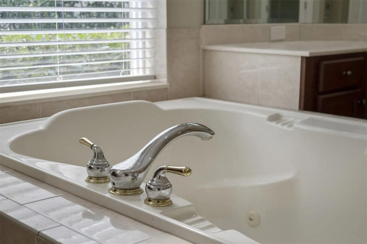 25551 Hawks Run Lane, Sorrento, FL 32776 Photo