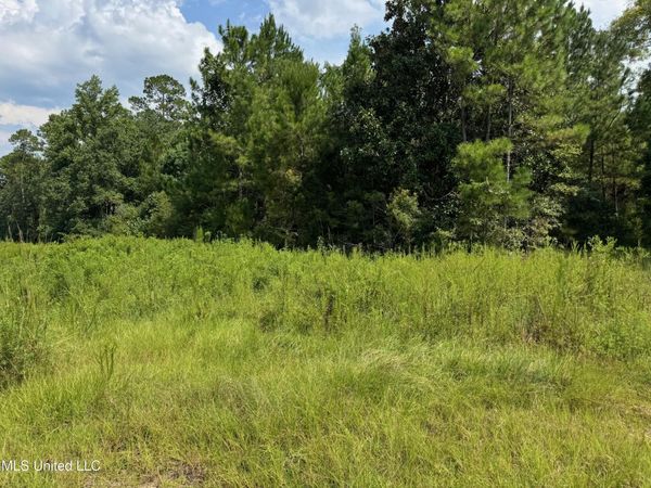 Nhn Darby Lane, Carriere, MS 39426