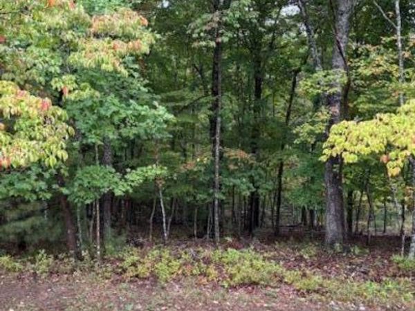 27 Chatham Court, Fairfield Glade, TN 38558