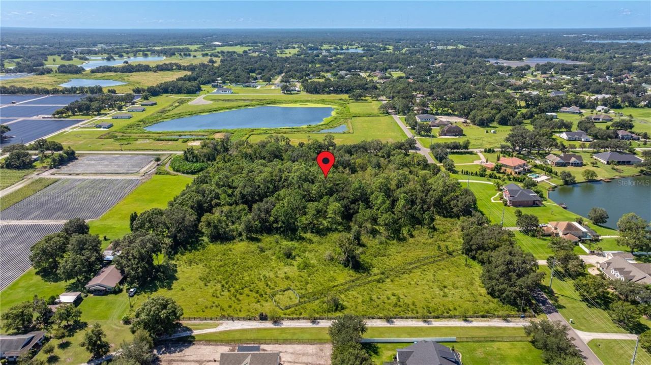 13410 Walden Sheffield Road, Dover, FL 33527 Photo