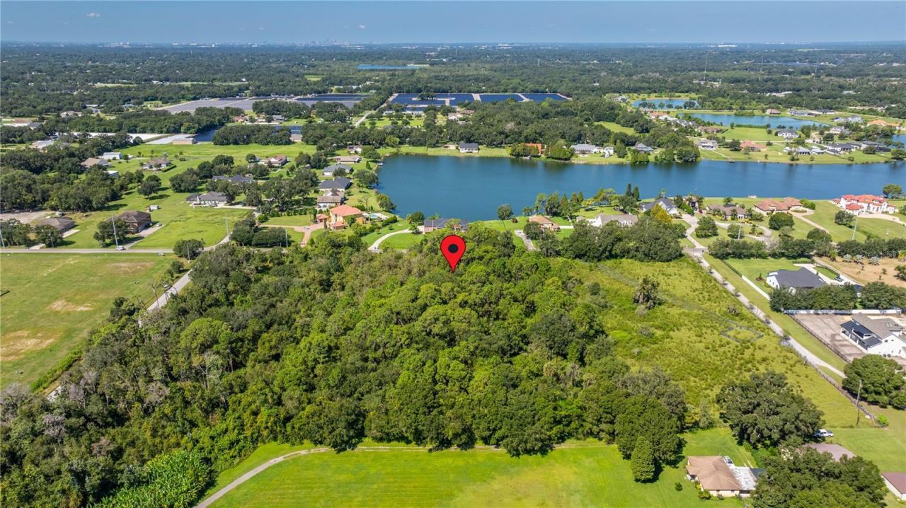 13410 Walden Sheffield Road, Dover, FL 33527 Photo