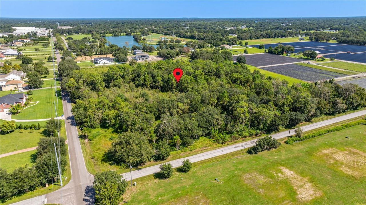 13410 Walden Sheffield Road, Dover, FL 33527 Photo