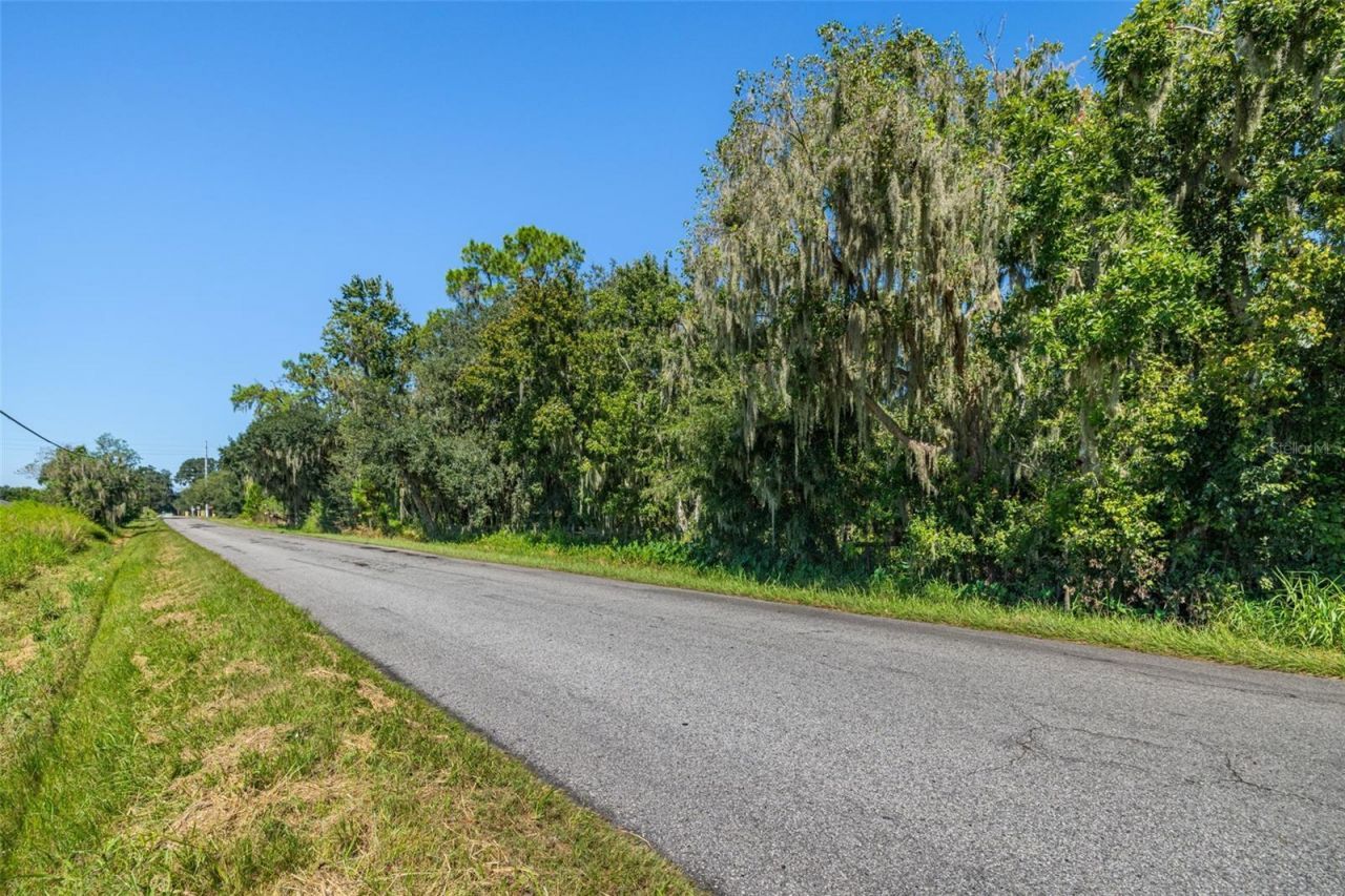 13410 Walden Sheffield Road, Dover, FL 33527 Photo